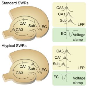 ripple-rest 1.3 release