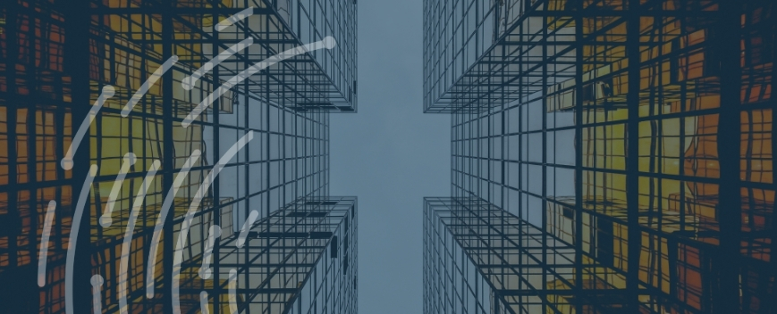 Xrp Network Xrp Authority